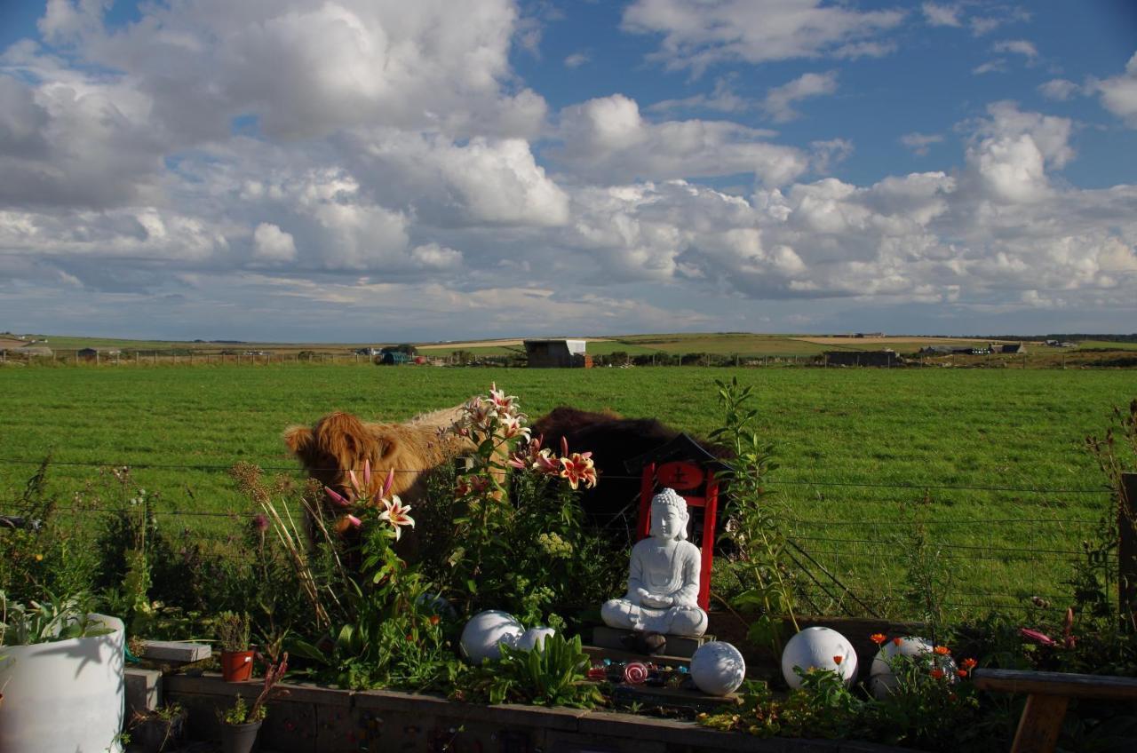 Carrig Lios Bed and Breakfast Thurso Eksteriør billede